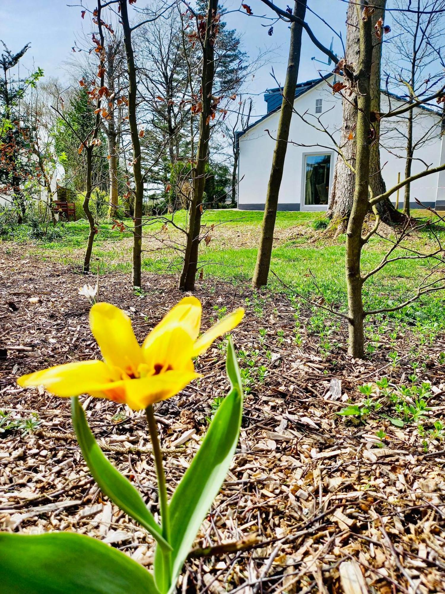 Freiraum Ferienhaus Hellenthal Kültér fotó